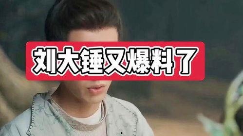 刘大锤爆料最新消息,最新热点事件内幕大揭秘! 第3张 刘大锤爆料最新消息,最新热点事件内幕大揭秘! 第3张