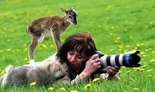 人和动物视频在线观看,在线观看精选视频集锦